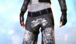 和平精英角色最新爆料图片,神秘形象引玩家热议